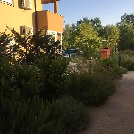 Lavanda * Tribalj